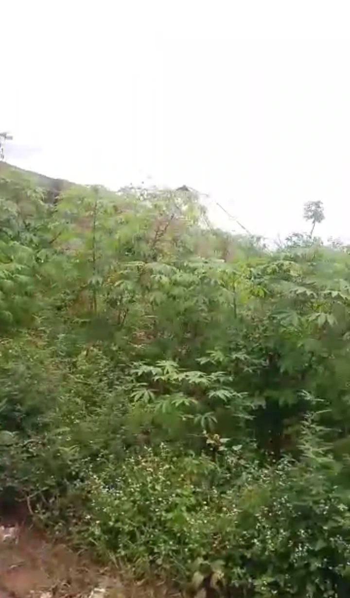 Land for Sale in Arougba community, Edo - Image 1
