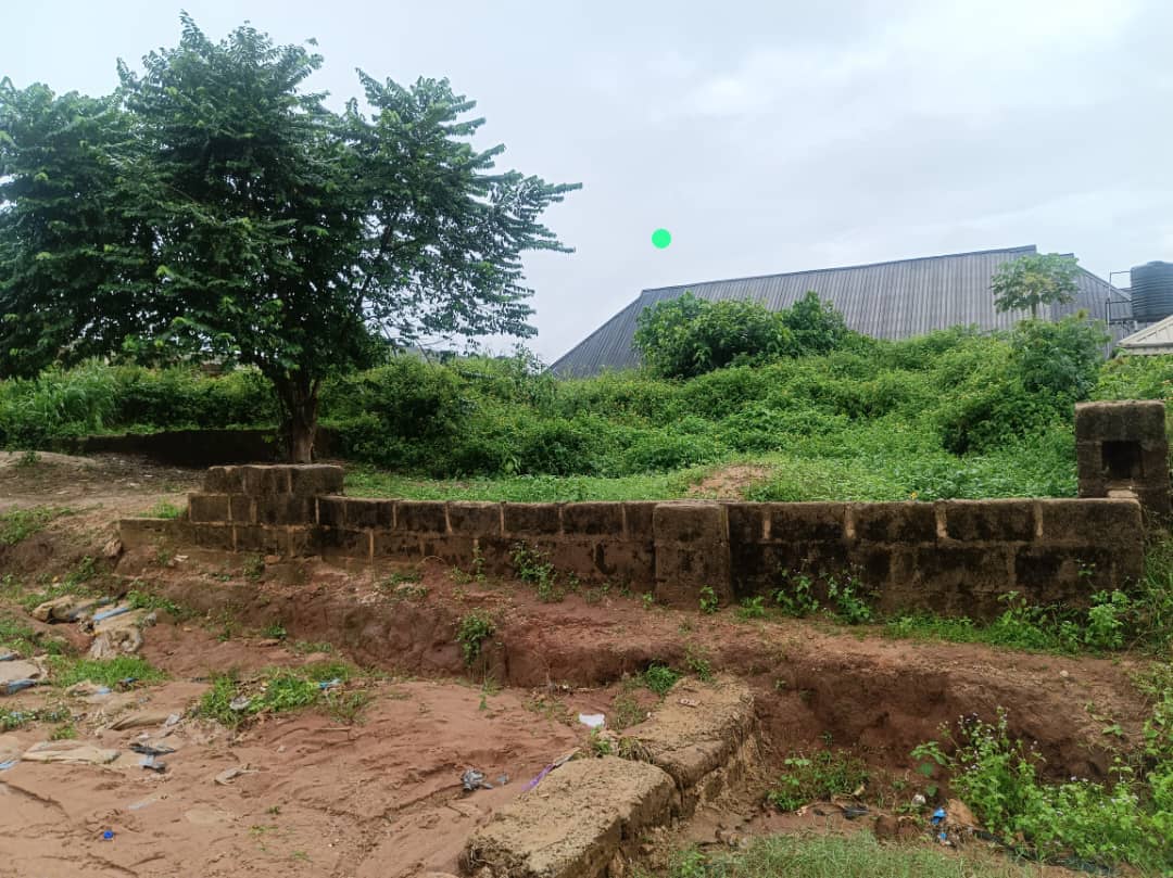 Land for Sale in Ekenwan road, Edo - Image 1