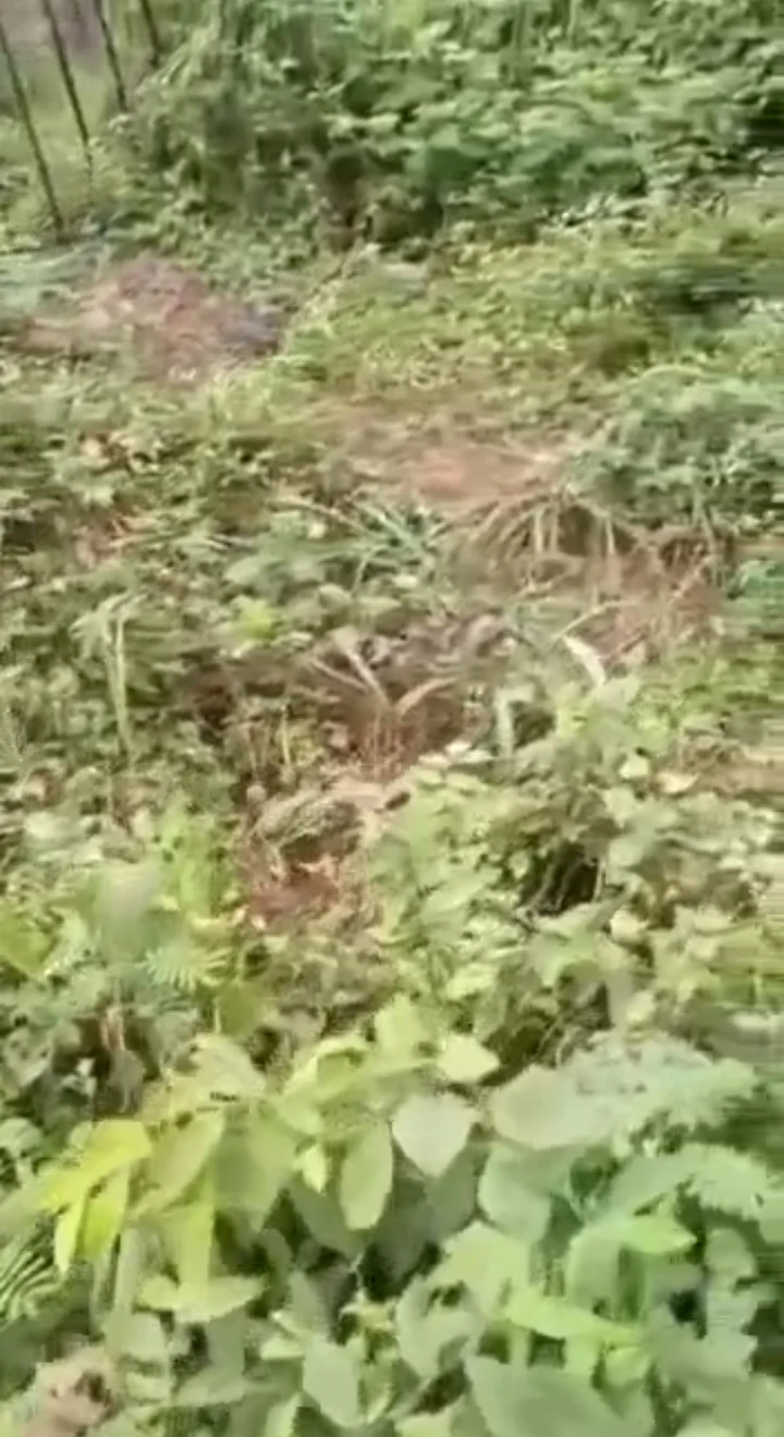 Land for Sale in Along youth house amagba, Edo - Image 1