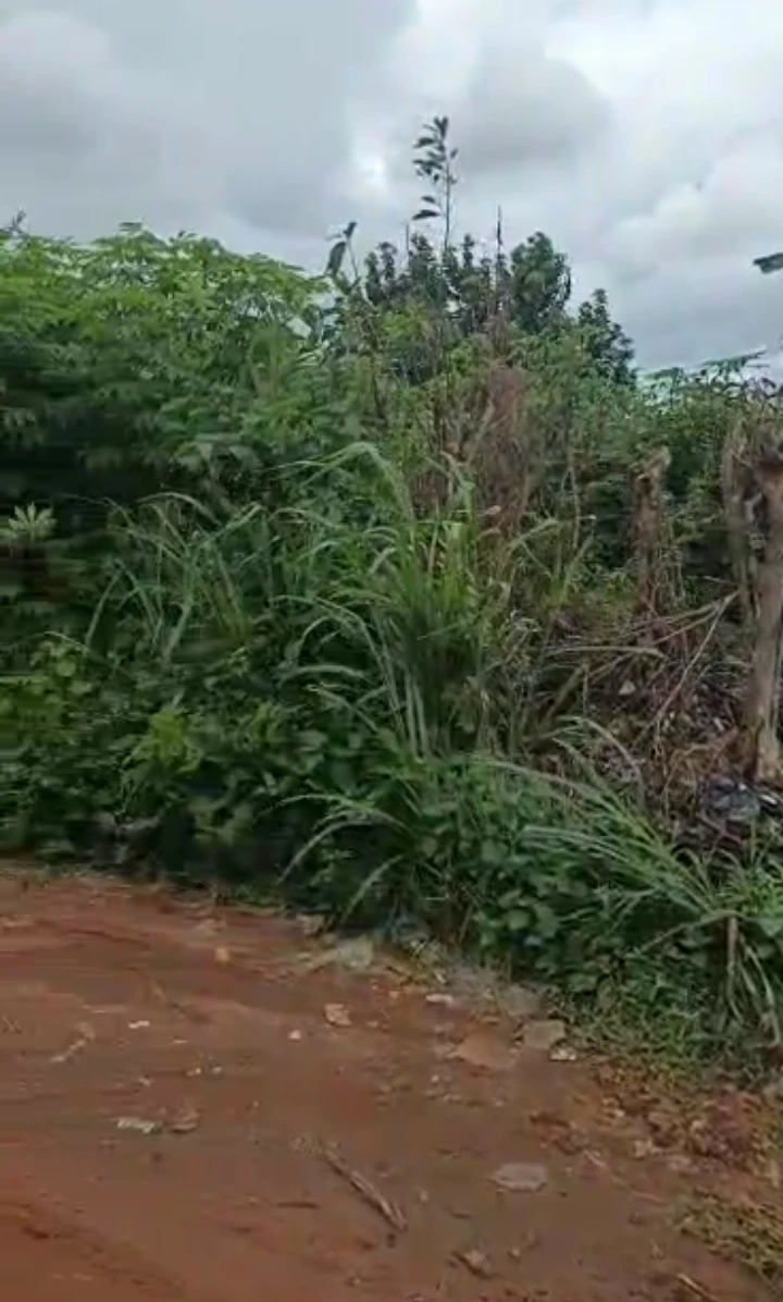 Land for Sale in Arougba, Edo - Image 1