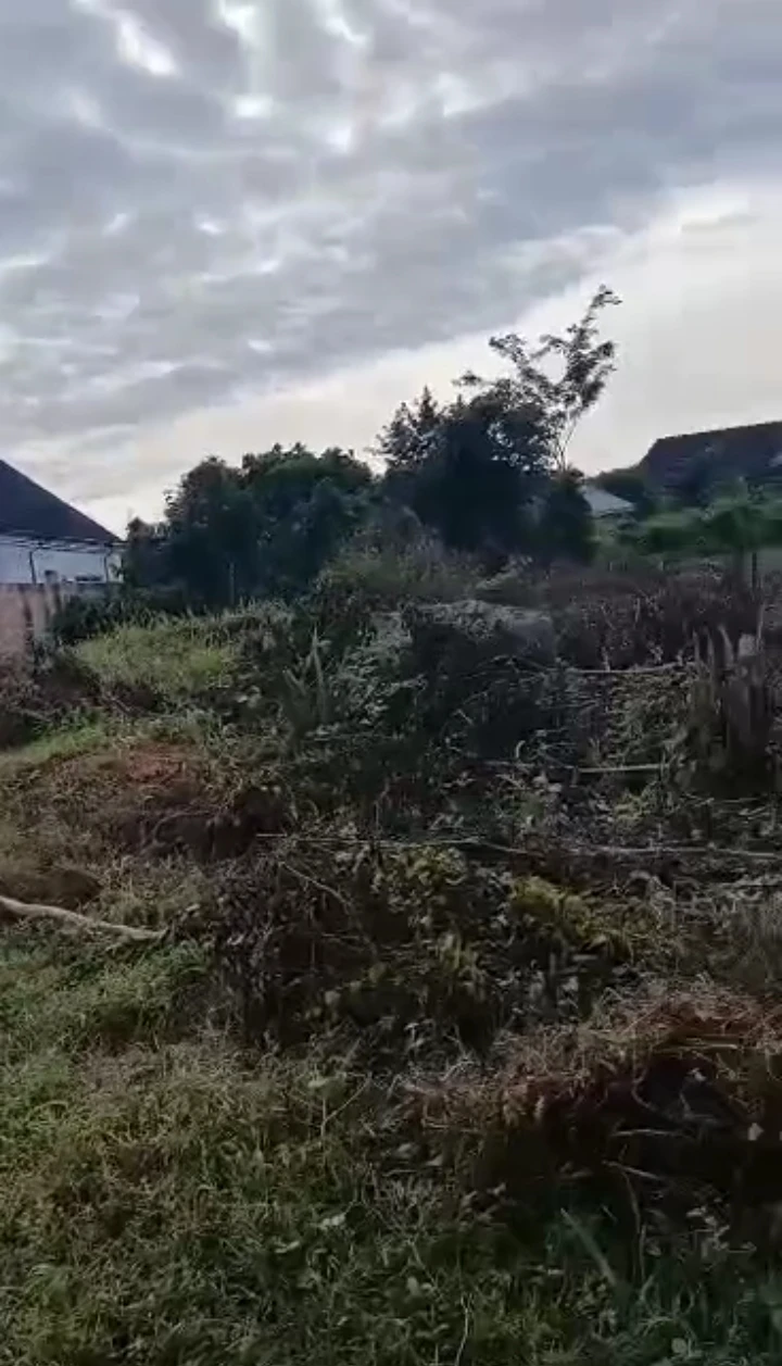 Land for Sale in Amagba, Edo - Image 1