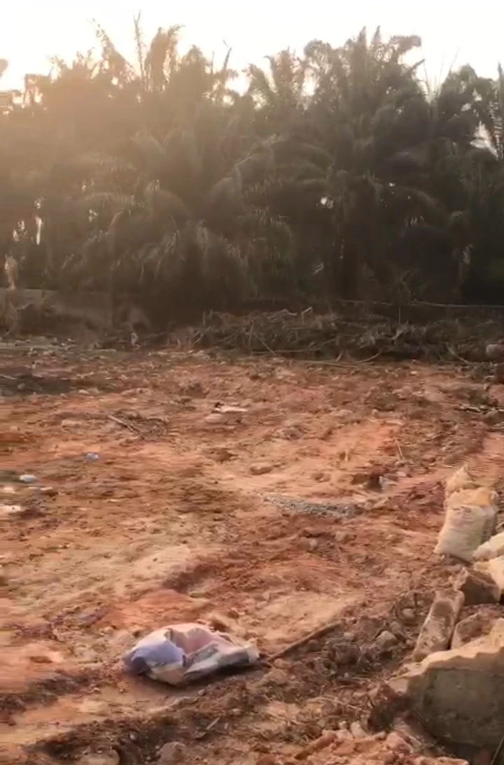 Land for Sale in Falaunu, Edo - Image 1