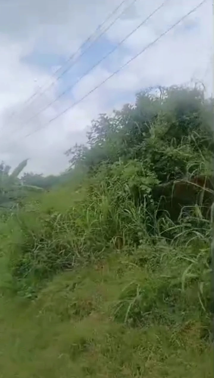 Land for Sale in Airport road, Edo - Image 1
