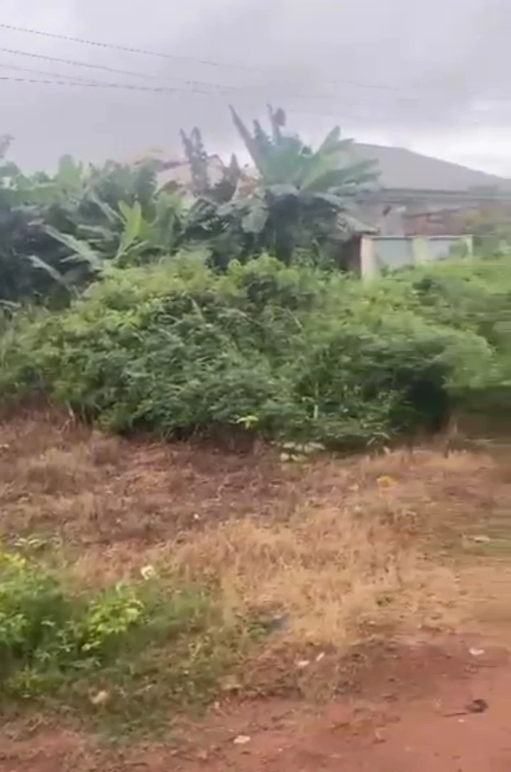 Land for Sale in Back of winners, Edo - Image 1