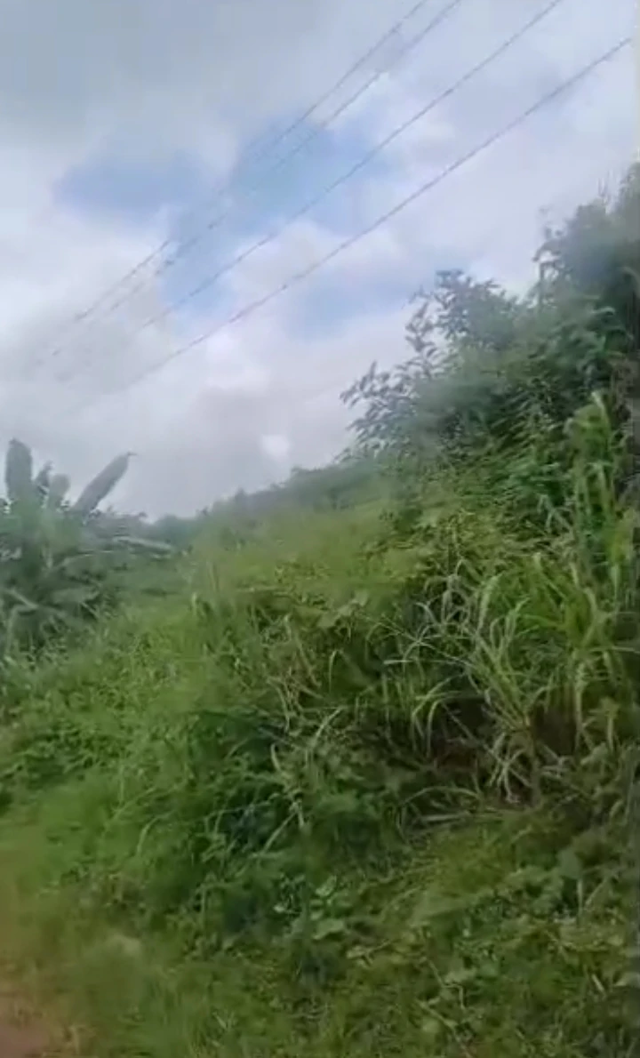 Land for Sale in Airport Road, Edo - Image 1