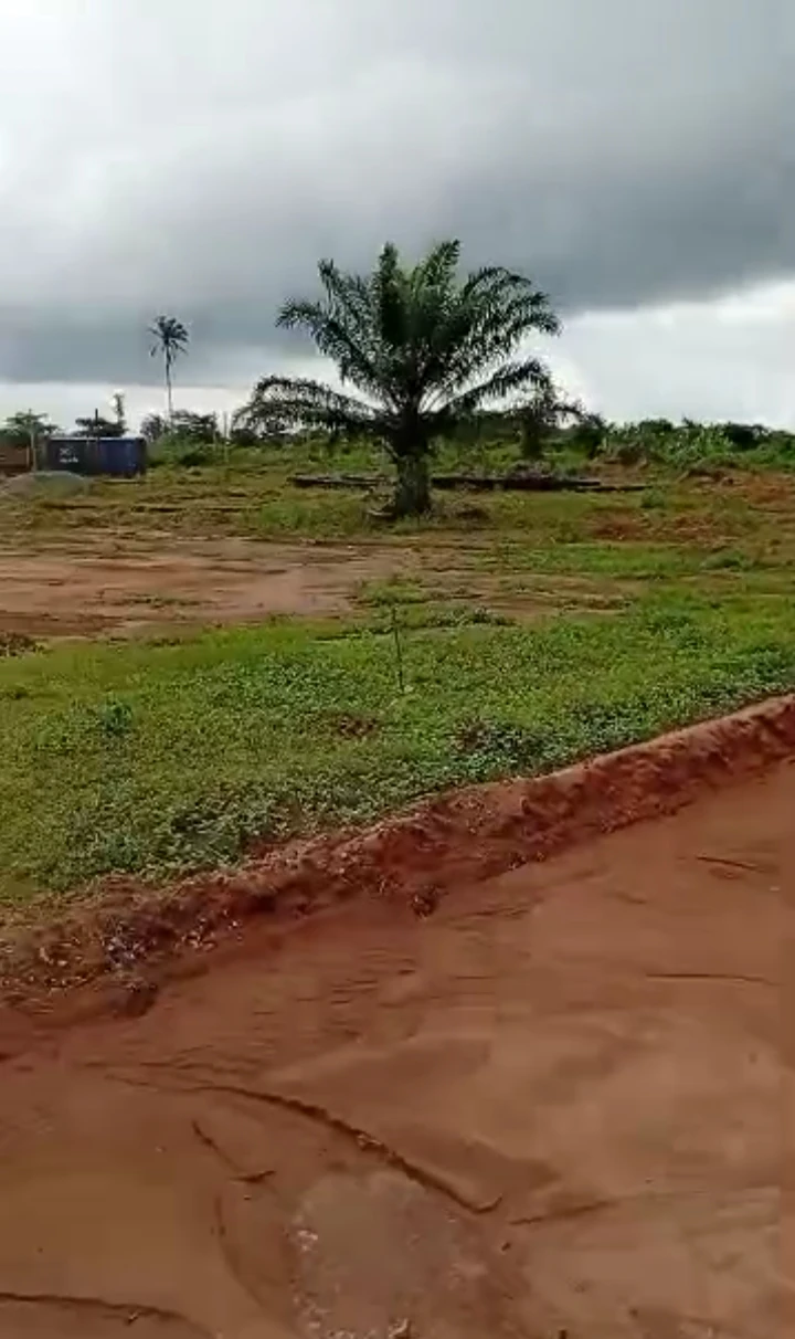 Land for Sale in Ureghin Community, Edo - Image 1