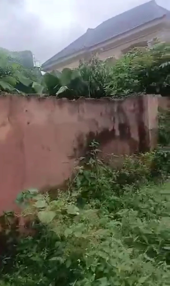 Land for Sale in oko central, Edo - Image 1