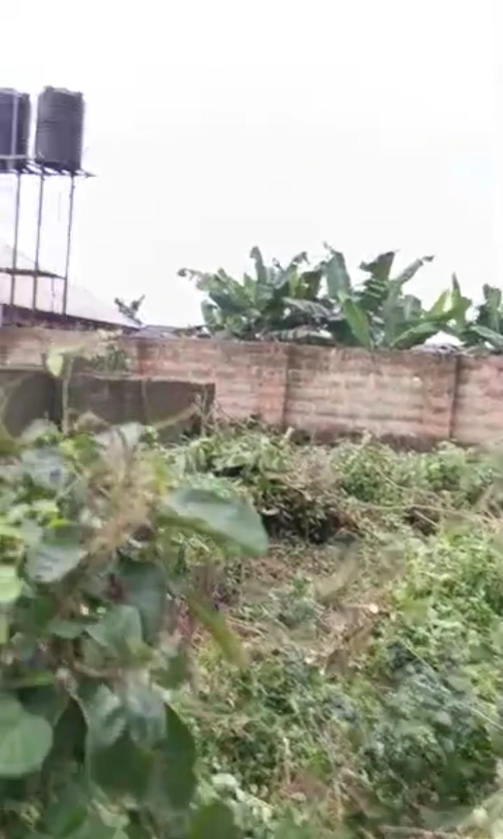 Uncompleted Building for Sale in Back of Banga, Edo - Image 1