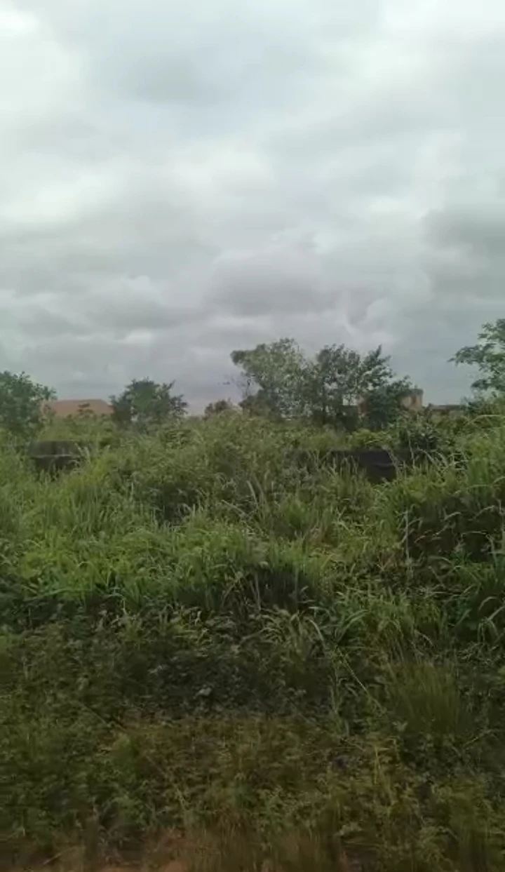 Land for Sale in Obagie, Edo - Image 1