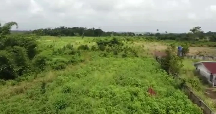 Land for Sale in Ugoneki, Edo - Image 1