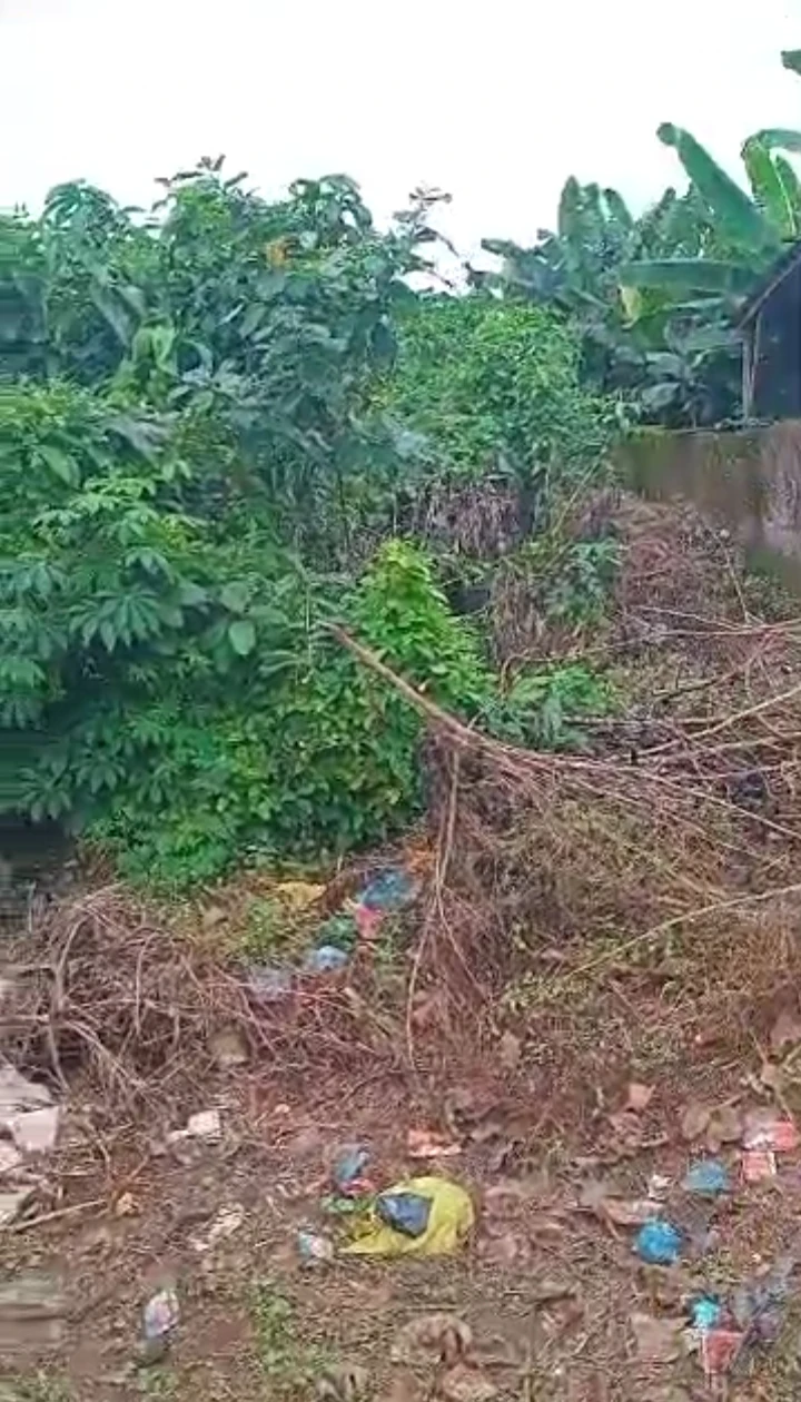Land for Sale in Egba road upper Sakpoba road, Edo - Image 1