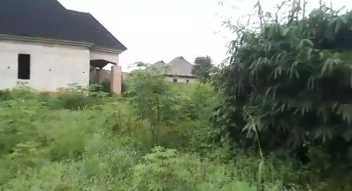 Land for Sale in Uhie, Edo - Image 1