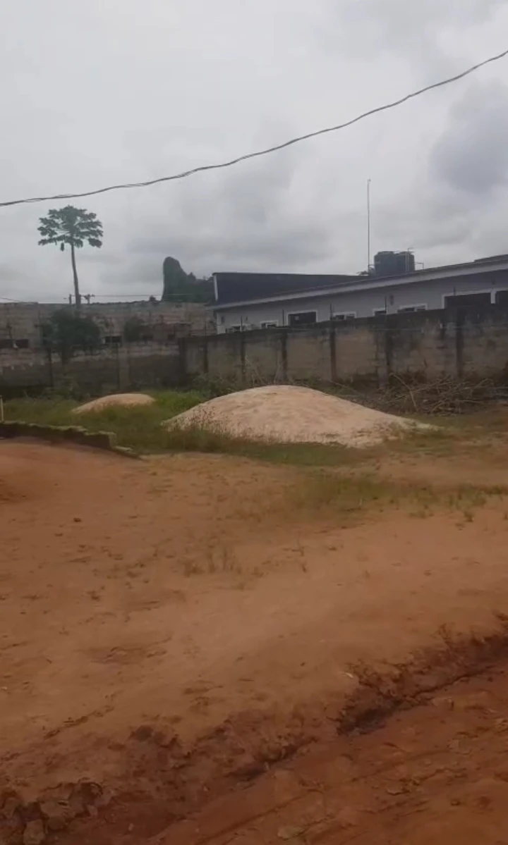 Land for Sale in Okhoromi community, Edo - Image 1