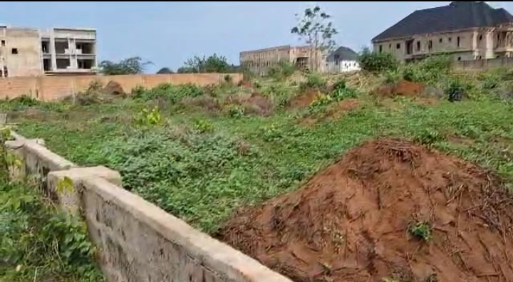 Land for Sale in Amagba, Edo - Image 1