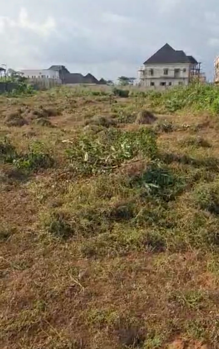 Land for Sale in VIU, Edo - Image 1