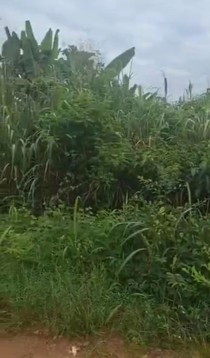 Land for Sale in Iyekogha, Edo - Image 1