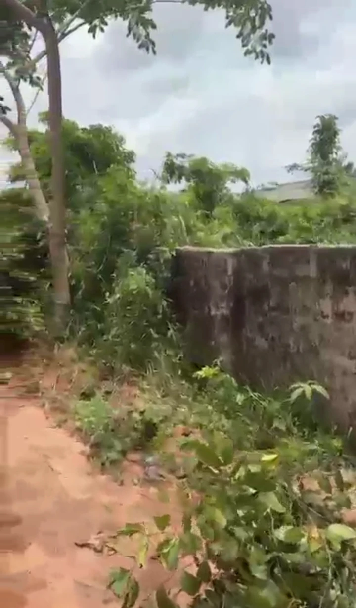Land for Sale in Amagba, Edo - Image 1