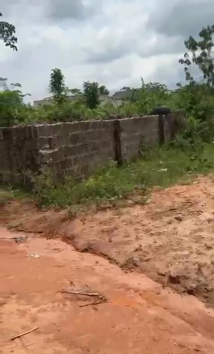 Land for Sale in Amagba, Edo - Image 2