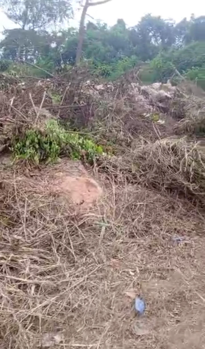 Land for Sale in 50ft by 100ft bareland at ogheghe community thru presidential road available for sale 5m asking price 4.8m net... documents Deed/ Court judgement., Edo - Image 1