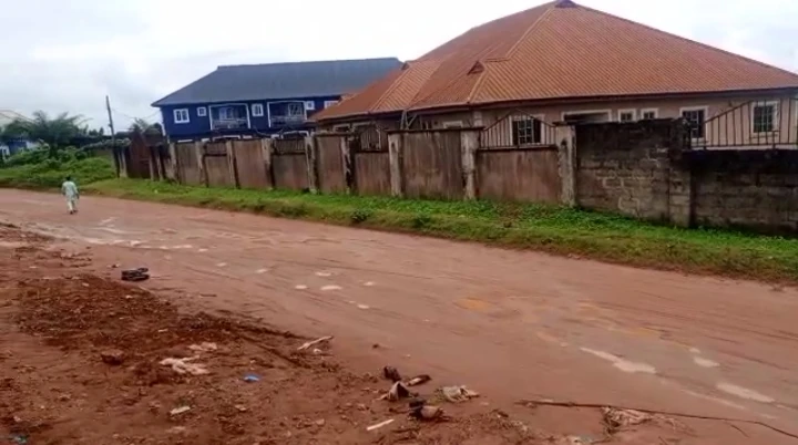 Land for Sale in Amagba, Edo - Image 1