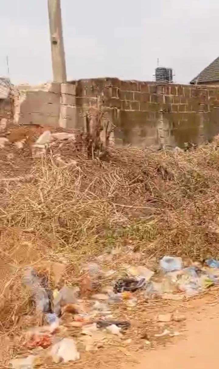 Land for Sale in peanut, Edo - Image 1