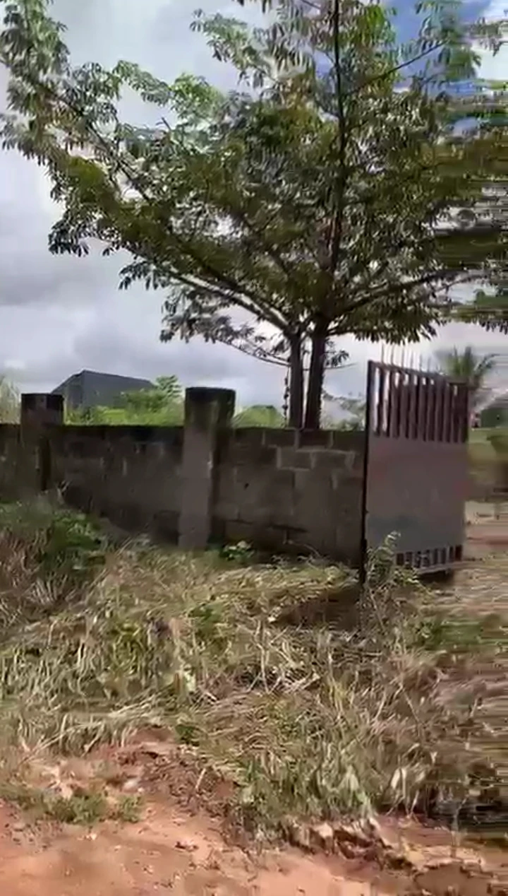 Land for Sale in Amagba, Edo - Image 1