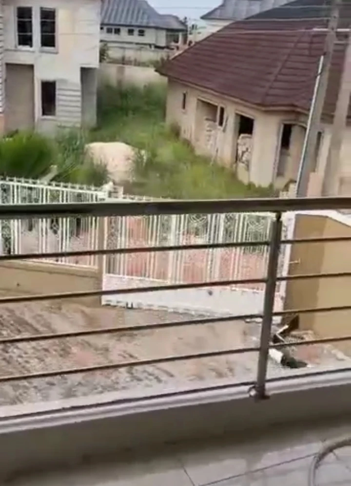 3 Bedroom Flat for Rent in Oko central traffic light off airport road, Edo - Image 1