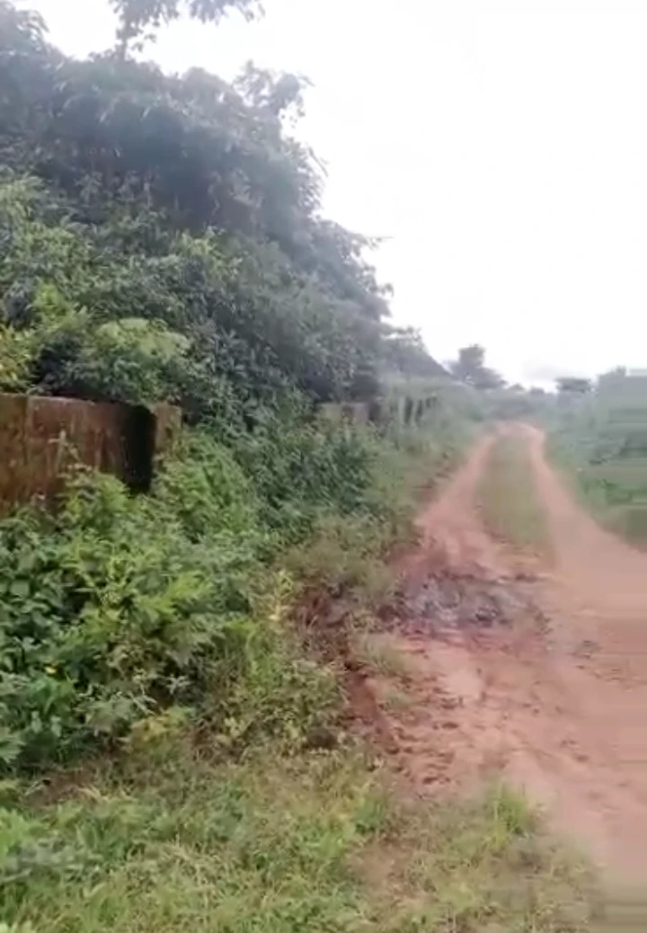 Land for Sale in Okhoromi community off airport road, Edo - Image 1