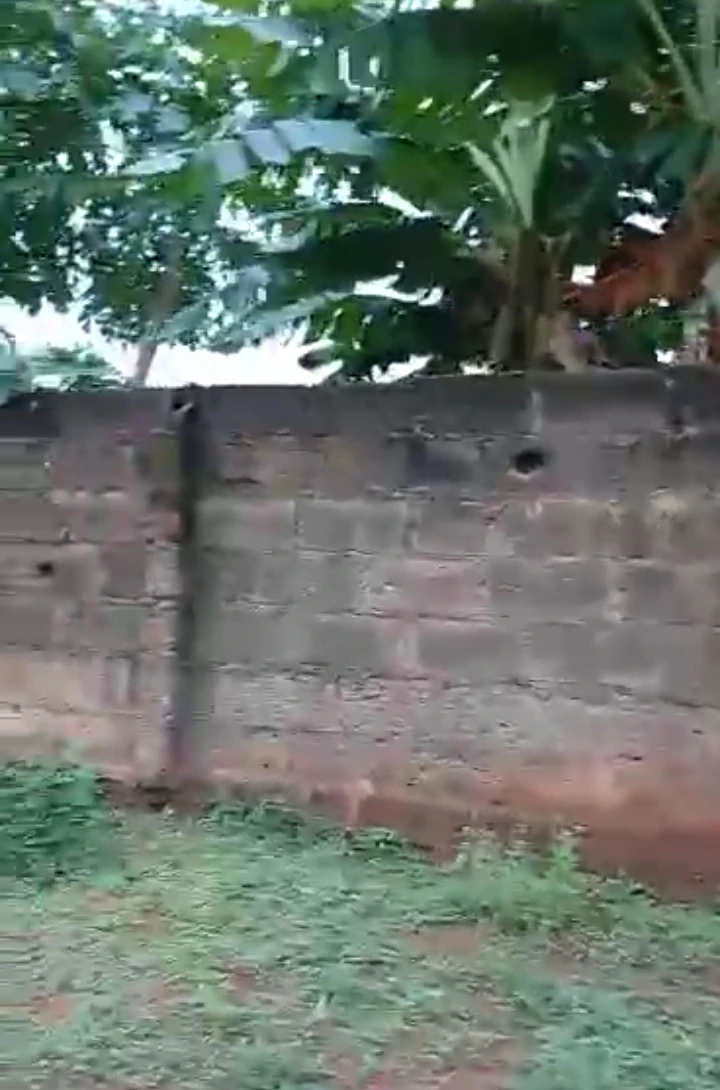 Uncompleted Building for Sale in 400 ft off igbinosa tarred road, off Irhirhi road, off second Ugbor road, Edo - Image 1
