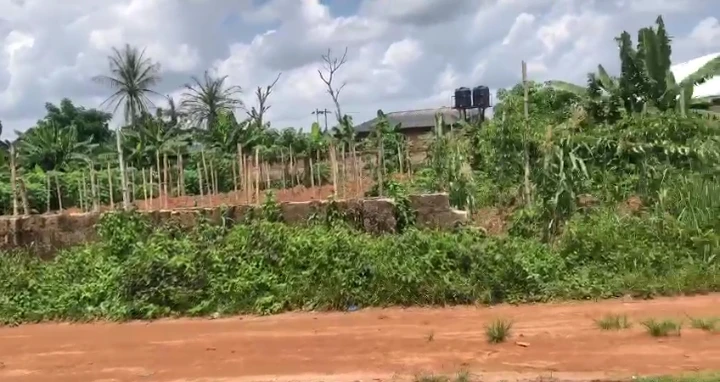 Land for Sale in obagie community, Edo - Image 1