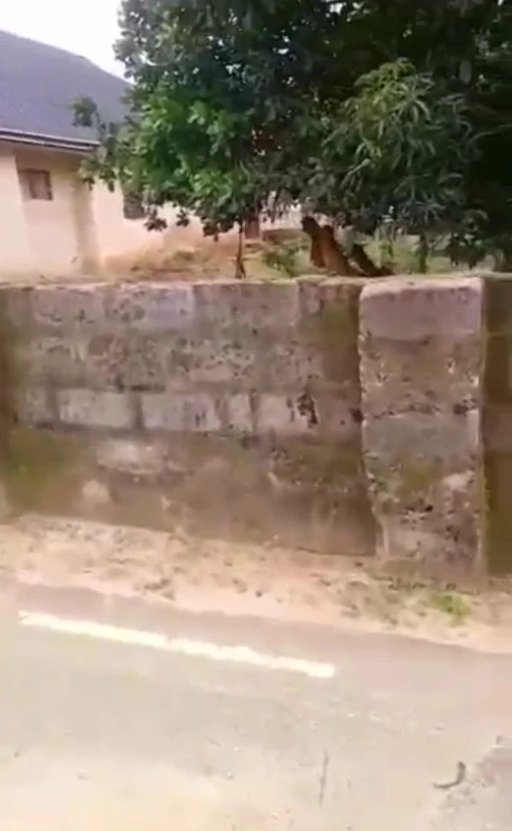 Land for Sale in Amagba community, Edo - Image 1