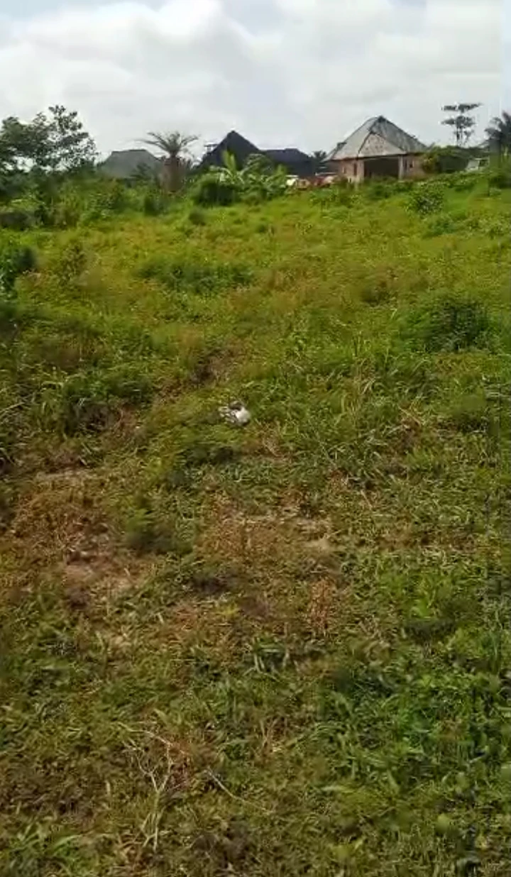 Land for Sale in Obagie community, Edo - Image 1
