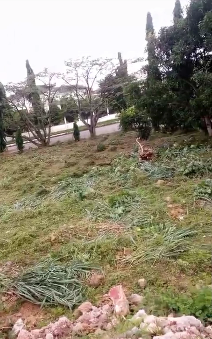 Land for Sale in iyekogba Housing Estate, Edo - Image 1