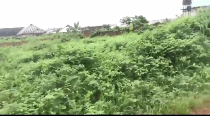 Land for Sale in Ulemo community, Edo - Image 1