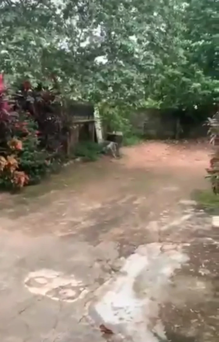 Bungalow for Sale in aguobasimin close to government house, Edo - Image 1