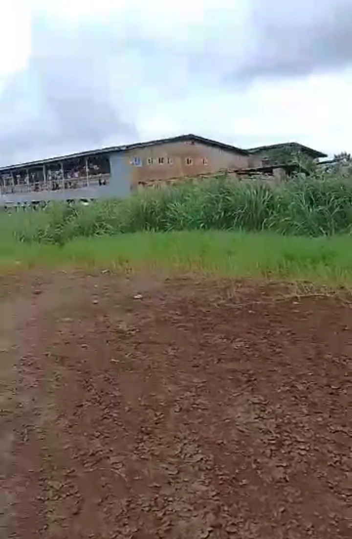 Land for Sale in Cinema TV road, Edo - Image 1