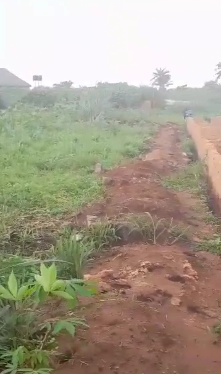 Land for Sale in Utesi village, Edo - Image 1