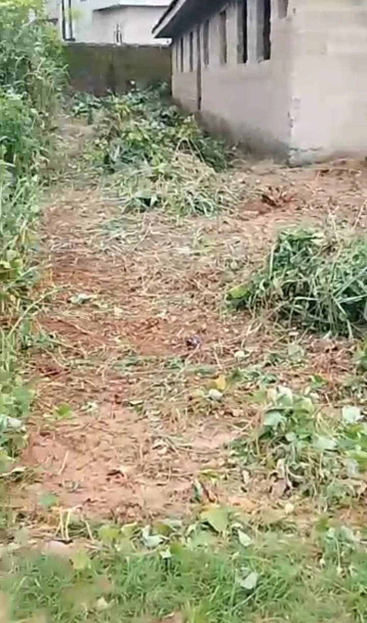 Uncompleted Building for Sale in Evbodia, Edo - Image 1