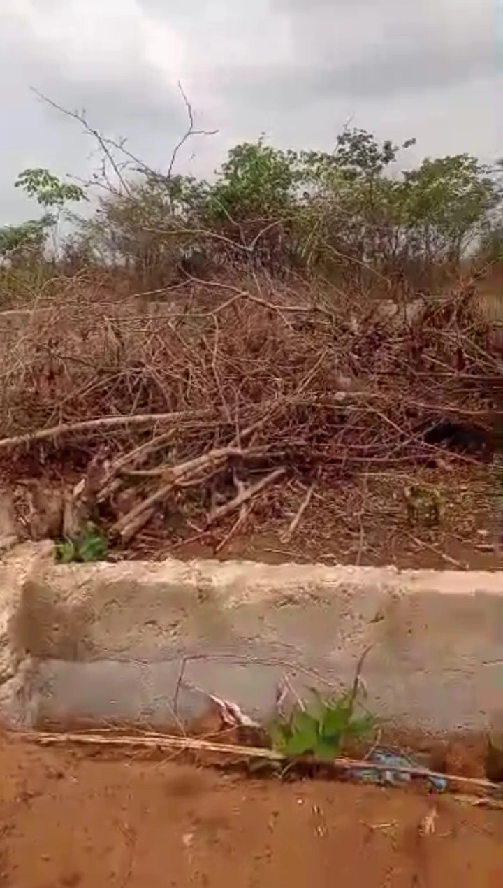 Land for Sale in Obagie, Edo - Image 1
