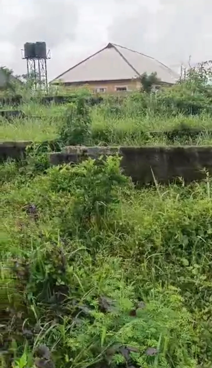 Uncompleted Building for Sale in Ogheghe, Edo - Image 1