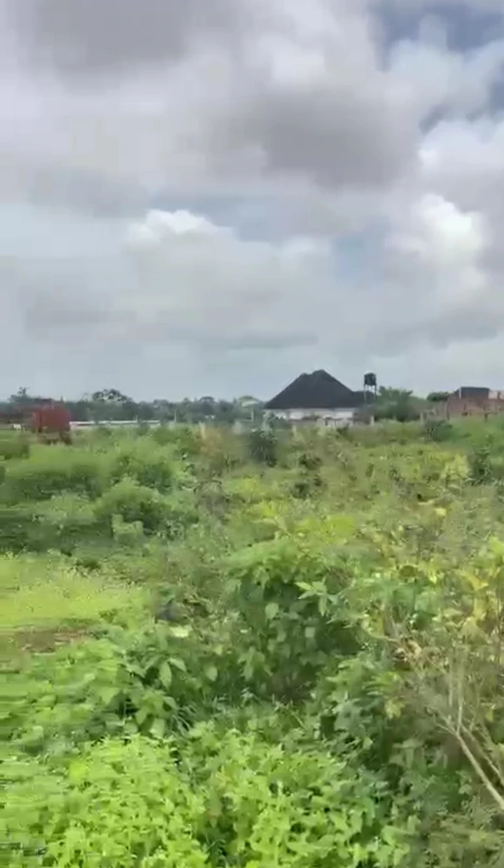 Land for Sale in Amagba BIU Estate, Edo - Image 1