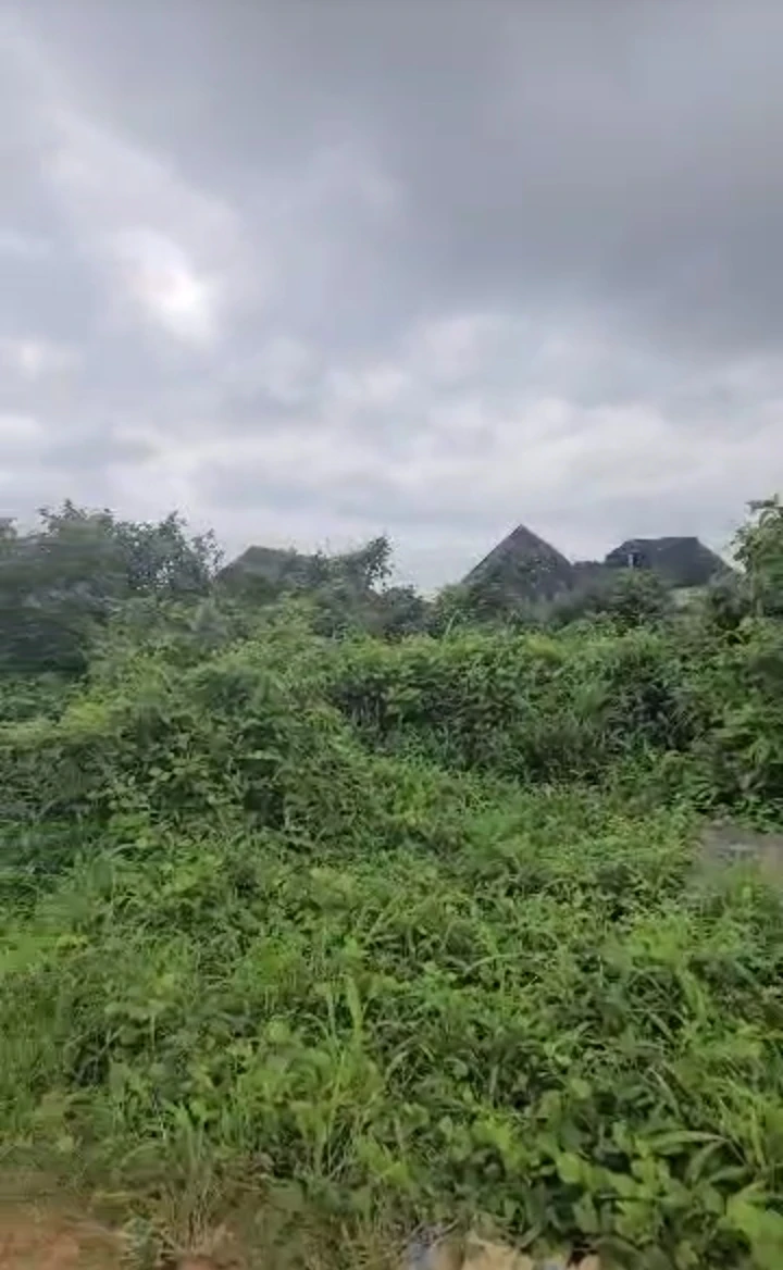 Land for Sale in Okhoromi, Edo - Image 1