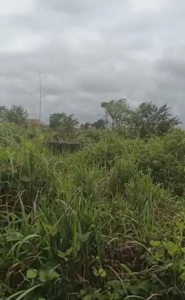 Land for Sale in Obagie, Edo cover picture
