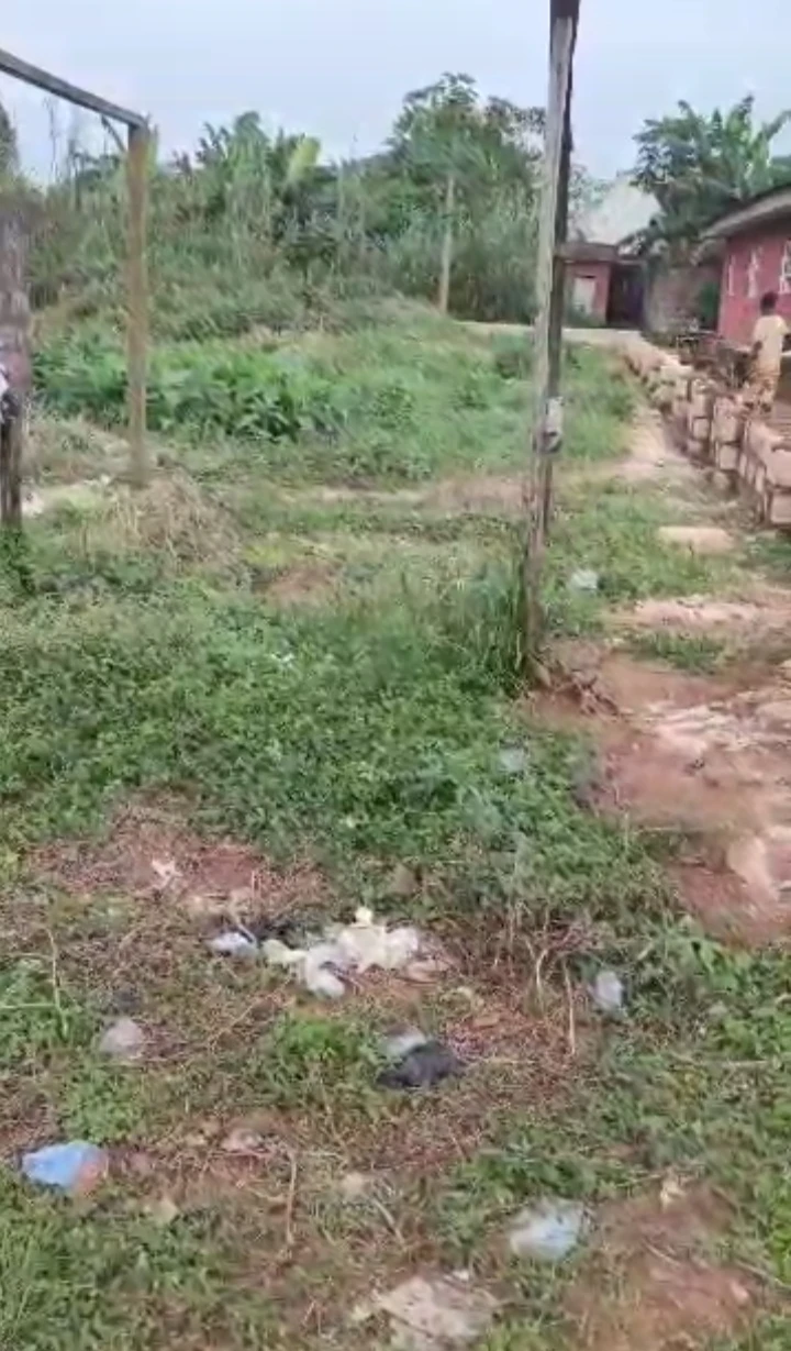 Land for Sale in Ebo close to estate gate, Edo cover picture