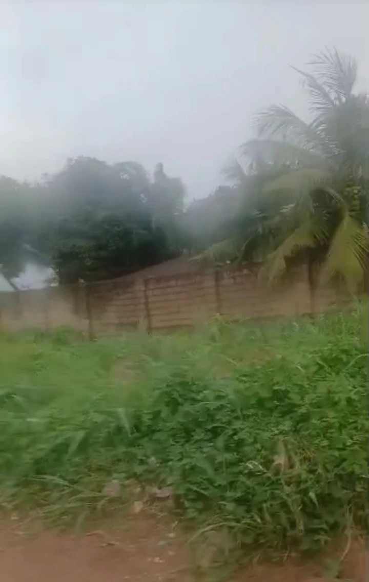 Land for Sale in Ebo street off Irhirhi, Edo cover picture