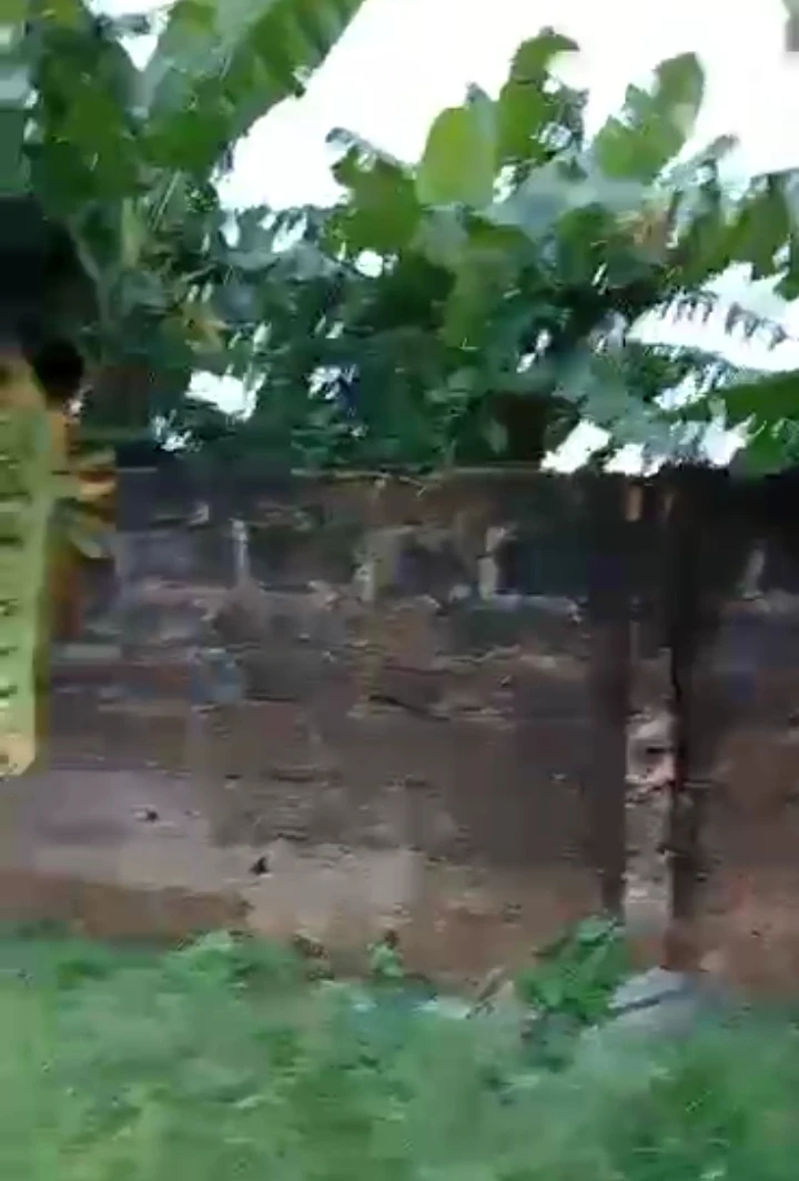 Uncompleted Building for Sale in 400 ft off igbinosa tarred road, off Irhirhi road, off second Ugbor road, Edo cover picture