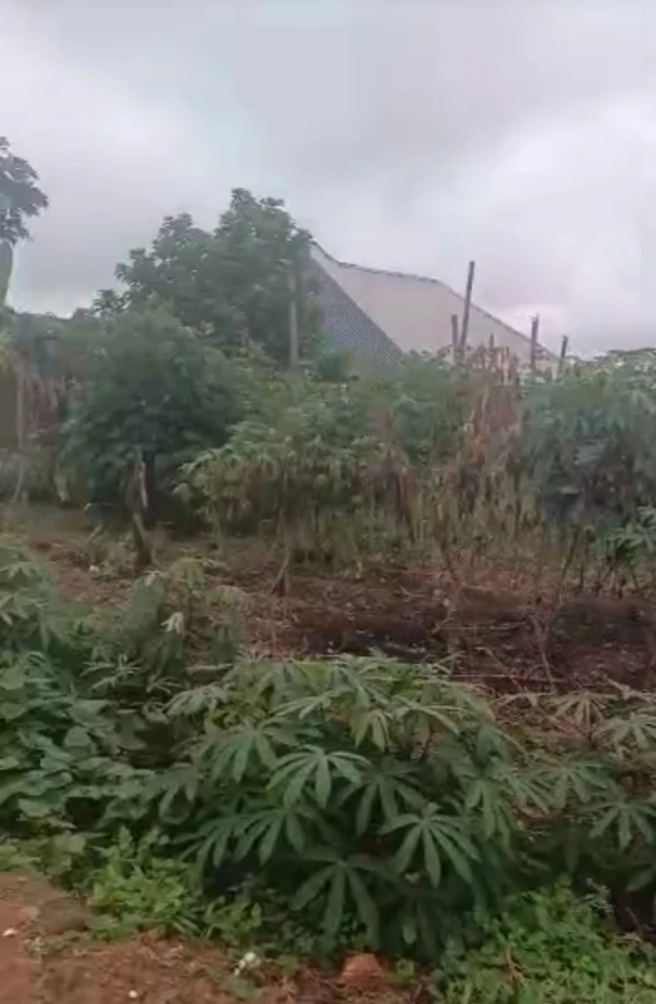 Land for Sale in Andrew Catholic Church Road, Edo cover picture