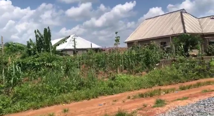 Land for Sale in obagie community, Edo cover picture