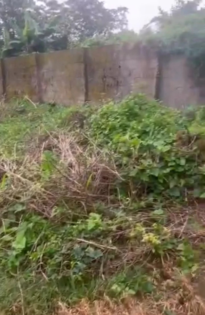 Land for Sale in Ebo street Irhirhi community, Edo cover picture