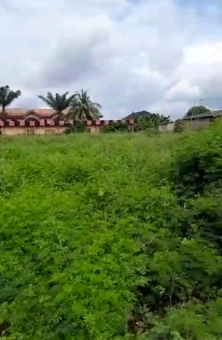 Land for Sale in Etete, Edo cover picture